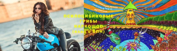 дживик Краснотурьинск